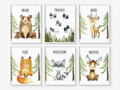 Animals Tracks Nursery Wall Art, Woodland Nursery Prints Set of 6